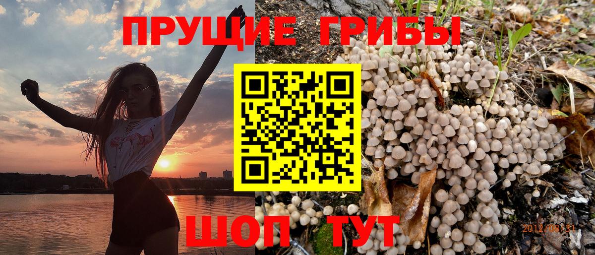 Псилоцибиновые грибы мухоморы  купить закладку  Уварово  Псилоцибиновые грибы мицелий  Вход с VPN 
